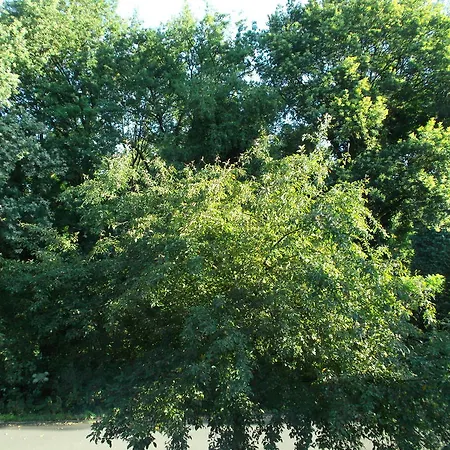 Panzió B & B Waalre 3*